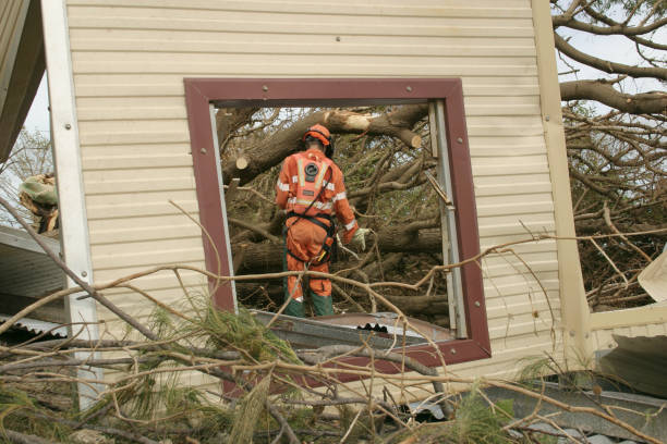 How Our Tree Care Process Works  in  Mount Vernon, IL